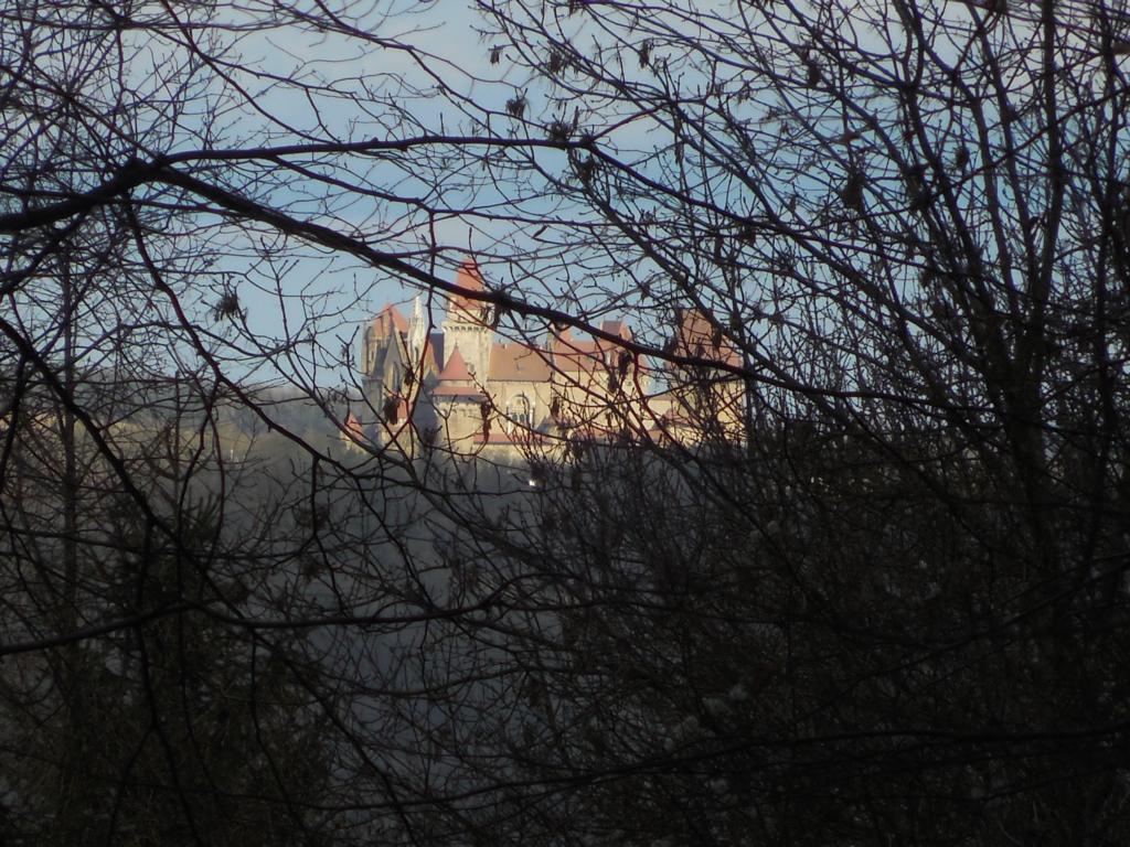 015-DSCN2499--Kreuzenstein-in-der-Ferne